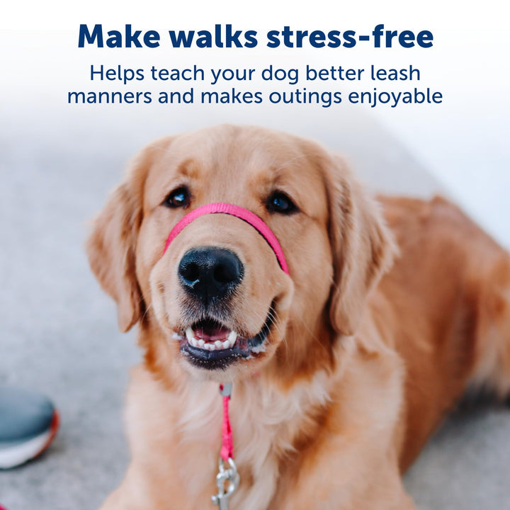 PetSafe Gentle Leader No-Pull Dog Headcollar - The Ultimate Solution to Pulling - Redirects Your Dog's Pulling For Easier Walks - Helps You Regain Control - Small, Black