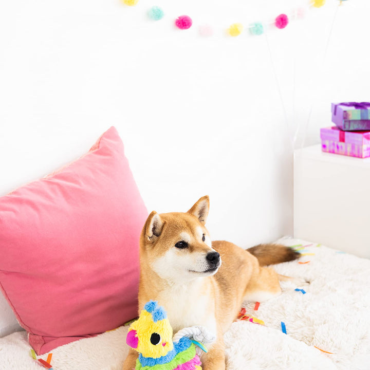 Pearhead Puppy Pinata Dog Toy, Rope Tug Toy for Dogs, Colorful Interactive Dog Toys, Party Pinata Toy for Dogs, Plush Chew Toy, Pet Owner Must Have Toy Pearhead Puppy Pinata Dog Toy
