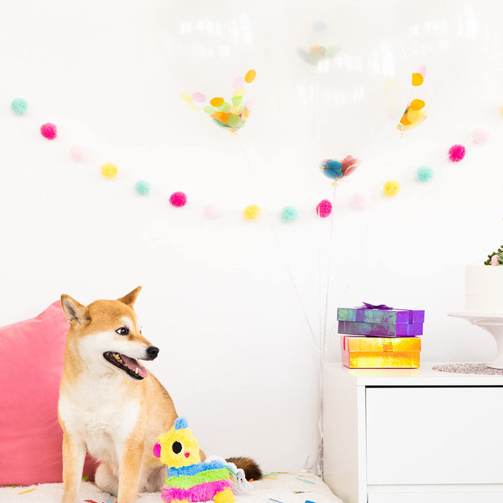 Pearhead Puppy Pinata Dog Toy, Rope Tug Toy for Dogs, Colorful Interactive Dog Toys, Party Pinata Toy for Dogs, Plush Chew Toy, Pet Owner Must Have Toy Pearhead Puppy Pinata Dog Toy