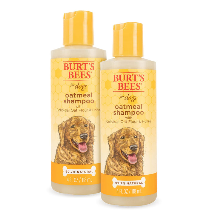 Burt's Bees for Pets Dogs Natural Oatmeal Shampoo with Colloidal Oat Flour and Honey| Oatmeal Dog Shampoo | Soothing and Cleansing Oatmeal Shampoo for Dogs | 4 Fl oz - 2 Pack 4 oz - 2 Pack