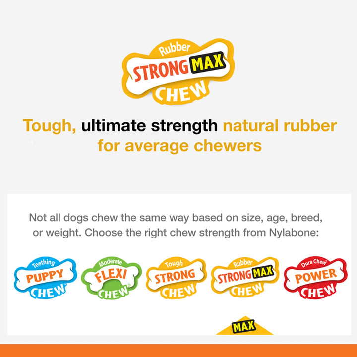 Nylabone Chew & Treat Toy for Dogs - Interactive Dog Enrichment Chew & Treat Toys Large up to 50 lbs. Max Cone