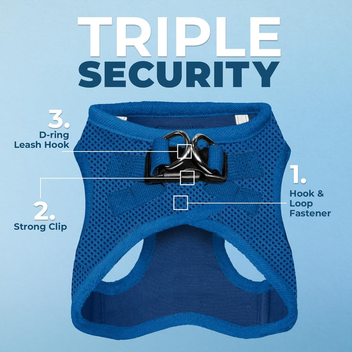 Voyager Step-in Air Cat Harness - All Weather Mesh Step in Vest Harness for Small and Medium Cats by Best Pet Supplies - Harness (Royal Blue), XXXS (Chest: 9.5-10.5") Harness (Royal Blue) XXXS (Chest: 9.5" -10.5" * Fit Cats)
