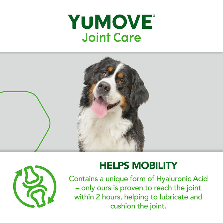 YuMOVE Senior Dog Tablets | Higher Strength Hip and Joint Supplement for Dogs with Glucosamine, Hyaluronic Acid, Green Lipped Mussel | Dogs Aged 8+ | 120 Tablets