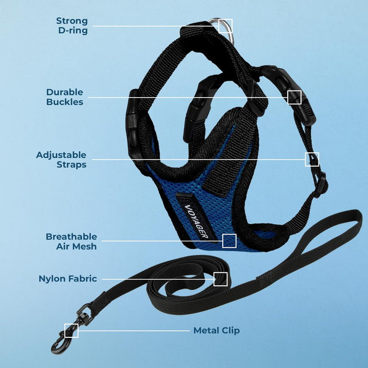 Voyager Step-in Lock Cat Harness w Reflective Cat Leash Combo Set with Neoprene Handle 5ft - Supports Small, Medium and Large Breed Cats by Best Pet Supplies - Royal Blue/Black Trim, XXS Harness Leash Set (Royal Blue/Black Trim)