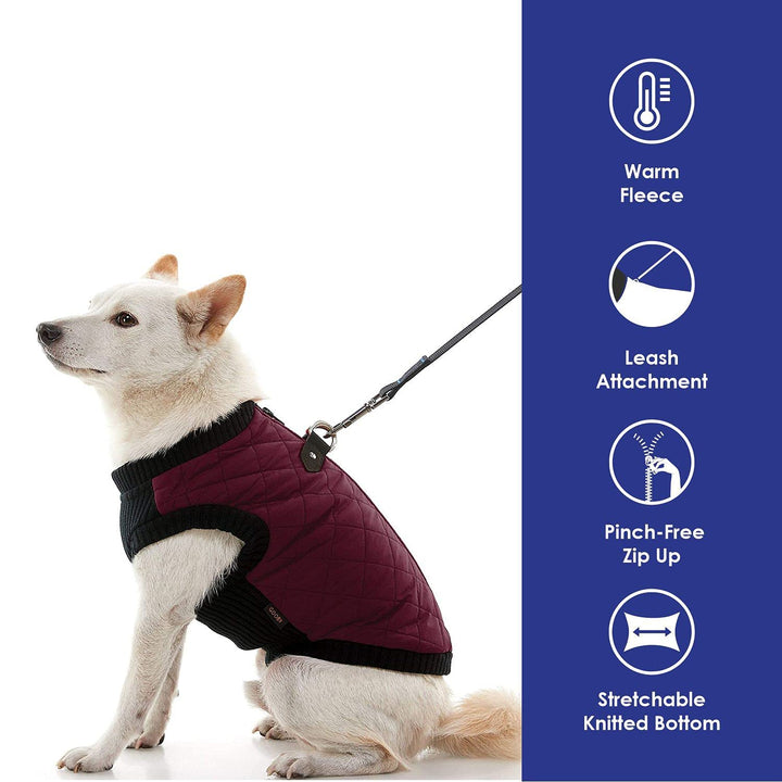 Gooby Fashion Vest Dog Jacket - Purple, Small - Warm Zip Up Dog Bomber Vest with Dual D Ring Leash - Winter Water Resistant Small Dog Sweater - Dog Clothes for Small Dogs Boy or Medium Dogs Small chest (~12")