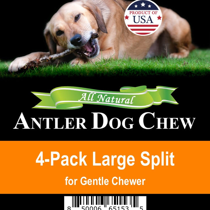 Elk Antler Chews for Dogs | Naturally Shed USA Collected Elk Antlers | All Natural A-Grade Premium Elk Antler Dog Chews | Product of USA, 4-Pack Large Split 4 Count (Pack of 1)