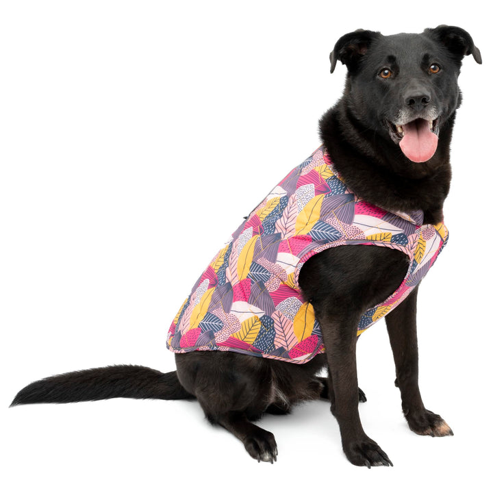 Kurgo Loft Dog Jacket, Reversible Dog Coat, Wear with Harness or Sweater, Water Resistant, Reflective, Winter Coat For Large Dogs (Fall Festival, XL) Extra Large Fall Festival