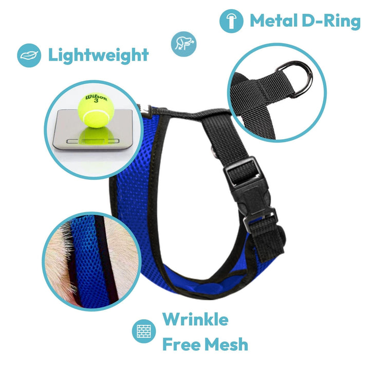 Gooby Comfort X Head in Harness - Blue, Small - No Pull Small Dog Harness, Patented Choke-Free X Frame - Perfect on The Go Dog Harness for Medium Dogs No Pull or Small Dogs for Indoor and Outdoor Use