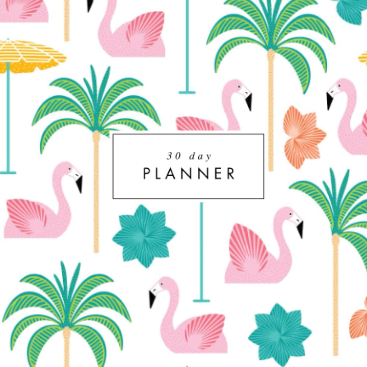 30 Day Planner: Flamingo pool party Undated monthly agenda with goal setting and focus exercises