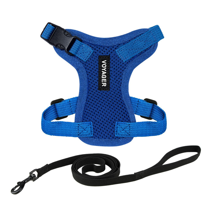 Voyager Step-in Lock Pet Harness - All Weather Mesh, Adjustable Step in Harness for Cats by Best Pet Supplies - Royal Blue, XXS