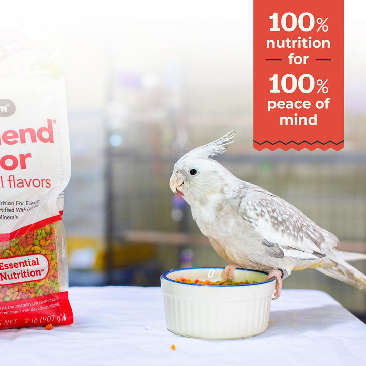 ZuPreem FruitBlend Bird Pellets, Daily Bird Food for Cockatiel, Lovebird, Quaker, Small Conure, Lorikeet, Core Nutrition for Medium Birds, Cockatiel Pellets, Conure Food (M, 2 lb) FruitBlend Pellets 2 Pound (Pack of 1)