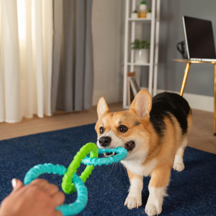 Wham-O Pets Chewla-Hoop Chain Tug - 3 Ring, Tug-of-War Dog Toy