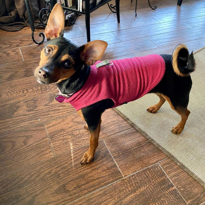 Gooby Fleece Vest Dog Sweater - Fuchsia, X-Small - Warm Pullover Fleece Dog Jacket with O-Ring Leash - Winter Small Dog Sweater Coat - Cold Weather Dog Clothes for Small Dogs Boy or Girl
