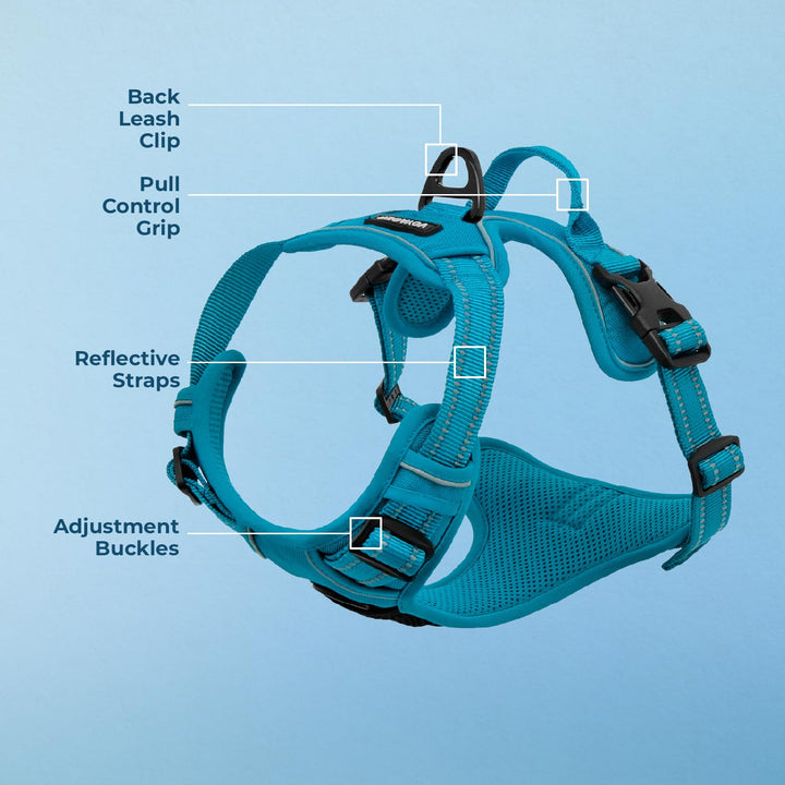 Voyager Dog Harness Dual Leash Attachment No-Pull Control Adjustable Soft But Strong Pet Harness For Medium And Large Dogs With 3M Reflective Technology - Turquoise, XL (Chest: 28 - 37")