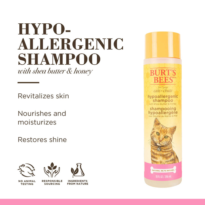 Burt's Bees for Pets Cat Hypoallergenic Shampoo With Shea Butter & Honey | Moisturizing & Nourishing Cat Shampoo | Cruelty, Sulfate & Paraben Free, pH Balanced for Cats - Made in USA, 10 Oz - 2 Pack 10 Fl Oz (Pack of 2)