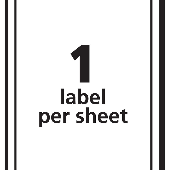 Avery Printable Shipping Labels, 4" x 6", White, 20 Blank Address Labels (05292) (Pack of 2) 1 Count (Pack of 2)