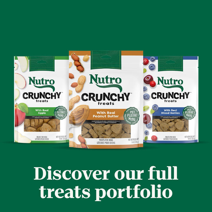 NUTRO Crunchy Dog Treats with Real Mixed Berries, 10 oz. Bag 10 Ounce (Pack of 1)