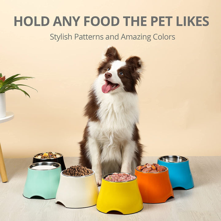 Fluffydream Elevated Dog Bowls,[Prevention of Vertebrae Disease] Non-Slip Dog Bowl with Stainless Steel Bowl,High Capacity Dog Food Bowls,Colorful Raised Dog Bowls for Medium/Small Size Dogs M (540ML / 2 Cups) LemonYellow