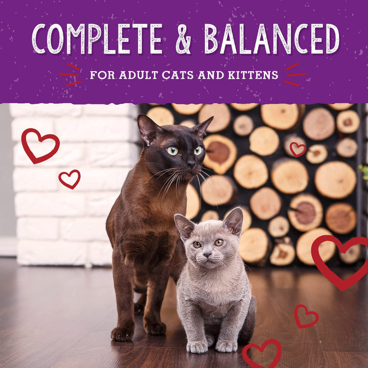 Stella & Chewy's Freeze-Dried Raw Cat Dinner Morsels – Grain Free, Protein Rich Cat & Kitten Food – Bountiful Beef Recipe – 8 oz Bag 8 Ounce (Pack of 1)