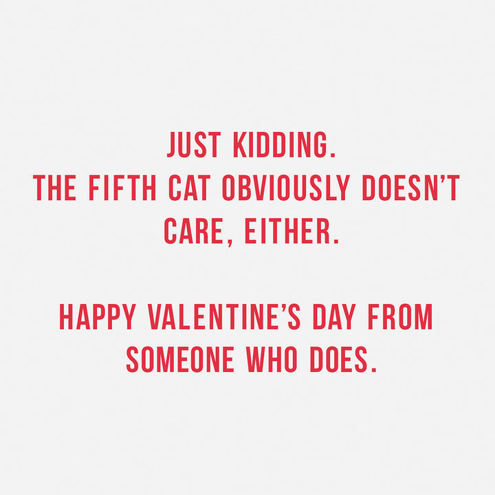 Hallmark Shoebox Pack of 4 Funny Valentines Day Cards for Friends or Family (Cats Don't Care) Valentine's Day, Cats Don't Care