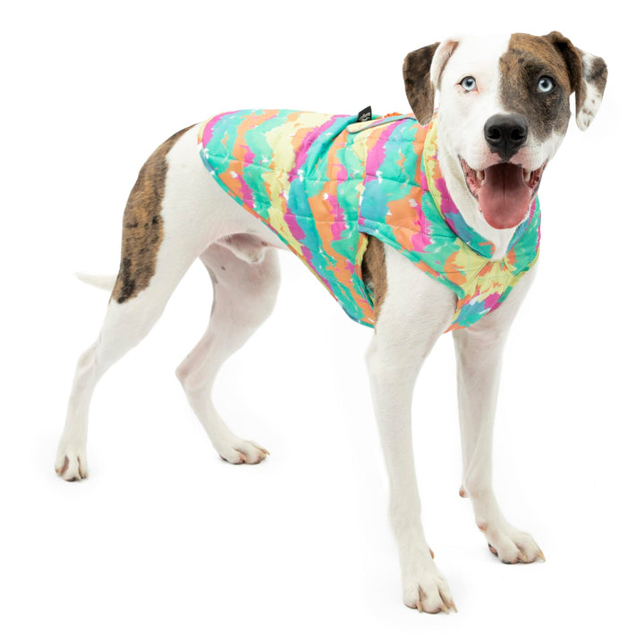 Kurgo Loft Dog Jacket, Reversible Dog Coat, Wear with Harness or Sweater, Water Resistant, Reflective, Winter Coat For Small Dogs (Watercolor Stripe, Extra Small) Watercolor
