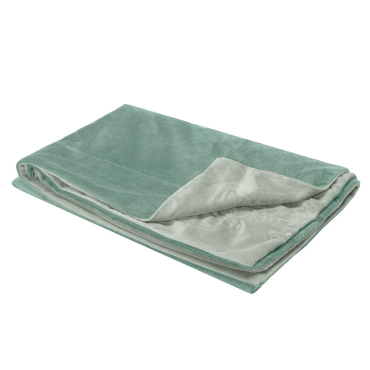 Furhaven Waterproof Throw Blanket for Dogs & Indoor Cats, Washable - Two-Tone Luxe Velvet Dog Blanket - Celadon Green, Medium