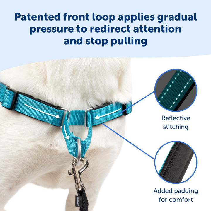 PetSafe® Deluxe Easy Walk® Dog Harness, No Pull Harness, Stop Pulling, Great For Walking and Training, Comfortable Padding, For Medium Dogs- Ocean, Medium/Large