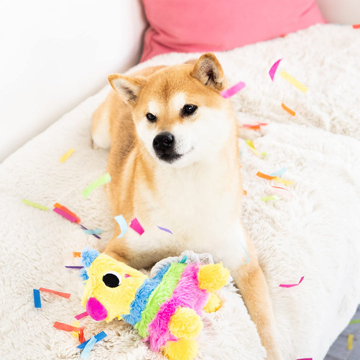 Pearhead Puppy Pinata Dog Toy, Rope Tug Toy for Dogs, Colorful Interactive Dog Toys, Party Pinata Toy for Dogs, Plush Chew Toy, Pet Owner Must Have Toy Pearhead Puppy Pinata Dog Toy