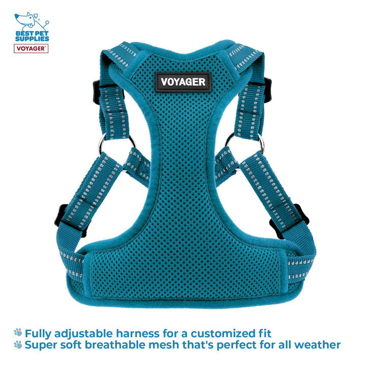 Best Pet Supplies Voyager Adjustable Dog Harness Leash Set with Reflective Stripes for Walking Heavy-Duty Full Body No Pull Vest with Leash D-Ring, Breathable All-Weather - Harness (Turquoise), L Harness Leash Set (Turquoise) L (Chest: 20 - 25")