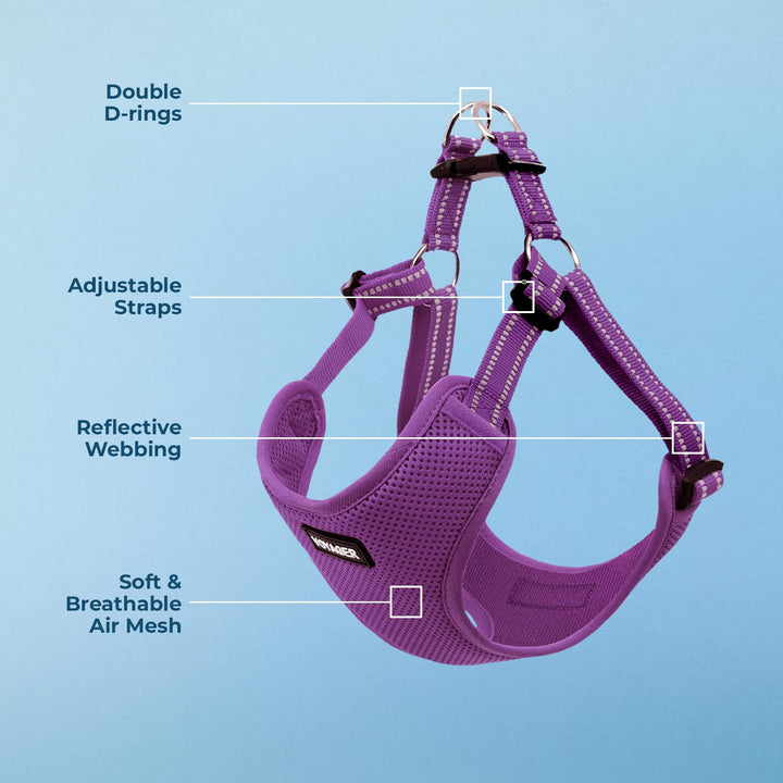 Best Pet Supplies Voyager Adjustable Dog Harness with Reflective Stripes for Walking, Jogging, Heavy-Duty Full Body No Pull Vest with Leash D-Ring, Breathable All-Weather - Harness (Purple), M Harness (Purple) M (Chest: 17 - 21")