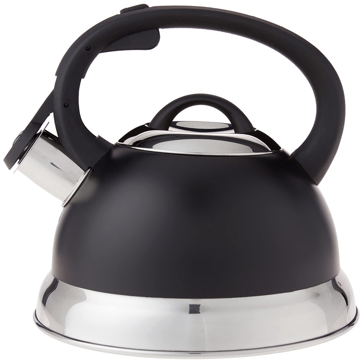 Mr. Coffee Flintshire Stainless Steel Whistling Tea Kettle W/Nylon Handle, 1.75-Quart, Matte Black