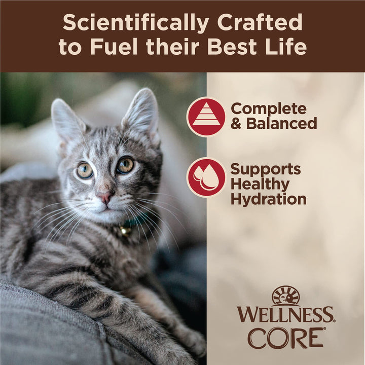 Wellness CORE Tiny Tasters Wet Cat Food, Complete & Balanced Natural Pet Food, Made with Real Meat, 1.75-Ounce Pouch, 12 Pack (Adult Cat, Minced Chicken & Beef in Gravy) 1.75 Ounce (Pack of 12)