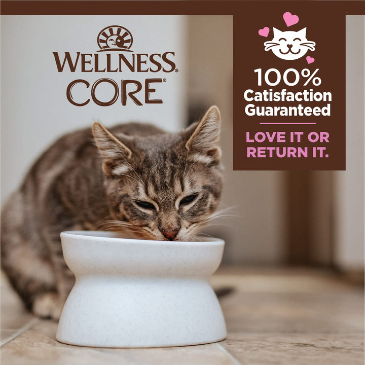 Wellness CORE Tiny Tasters Wet Kitten Food, Complete & Balanced Natural Pet Food, Made with Real Meat, 1.75-Ounce Pouch, 12 Pack (Kitten, Chicken Pate)