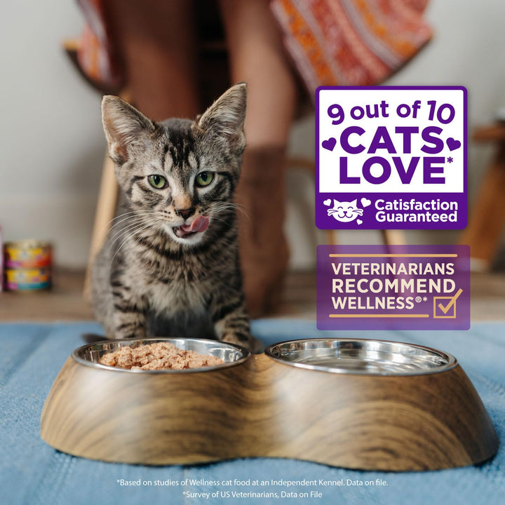 Wellness CORE Tiny Tasters Wet Cat Food, Complete & Balanced Natural Pet Food, Made with Real Meat, 1.75-Ounce Pouch, 12 Pack (Adult Cat, Minced Chicken & Beef in Gravy) 1.75 Ounce (Pack of 12)