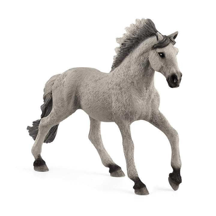 13915 - Sorraia Mustang Stallion Current Box Style