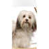 Healthy Breeds Havanese Oatmeal Shampoo with Aloe 16 oz Oatmeal 16 oz