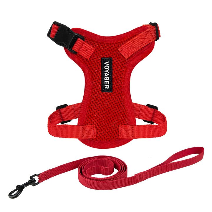 Voyager Step-in Lock Pet Harness - All Weather Mesh, Adjustable Step in Harness for Cats by Best Pet Supplies - Red, XXXS