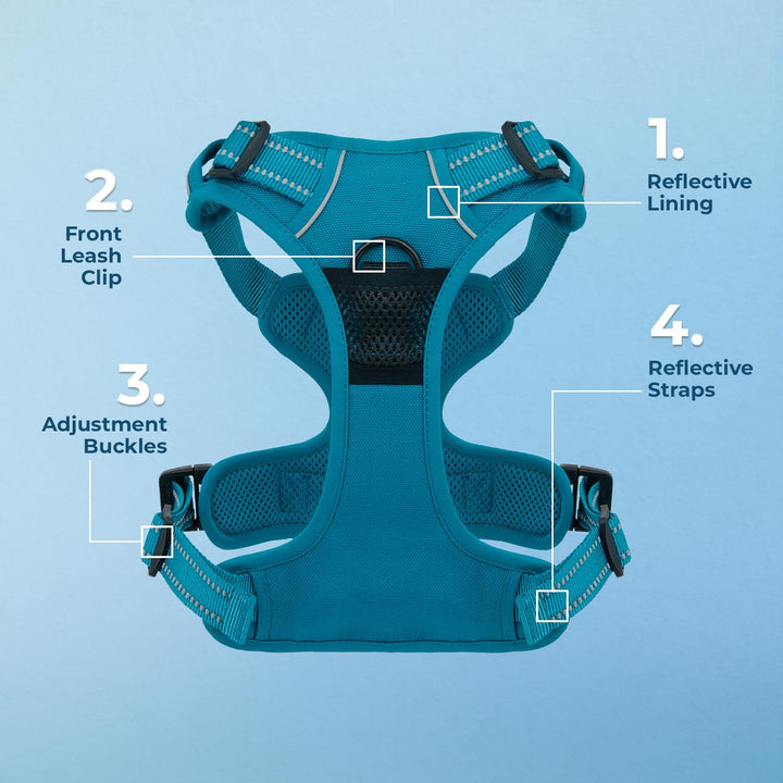 Voyager Dog Harness Dual Leash Attachment No-Pull Control Adjustable Soft But Strong Pet Harness For Medium And Large Dogs With 3M Reflective Technology - Turquoise, XL (Chest: 28 - 37")
