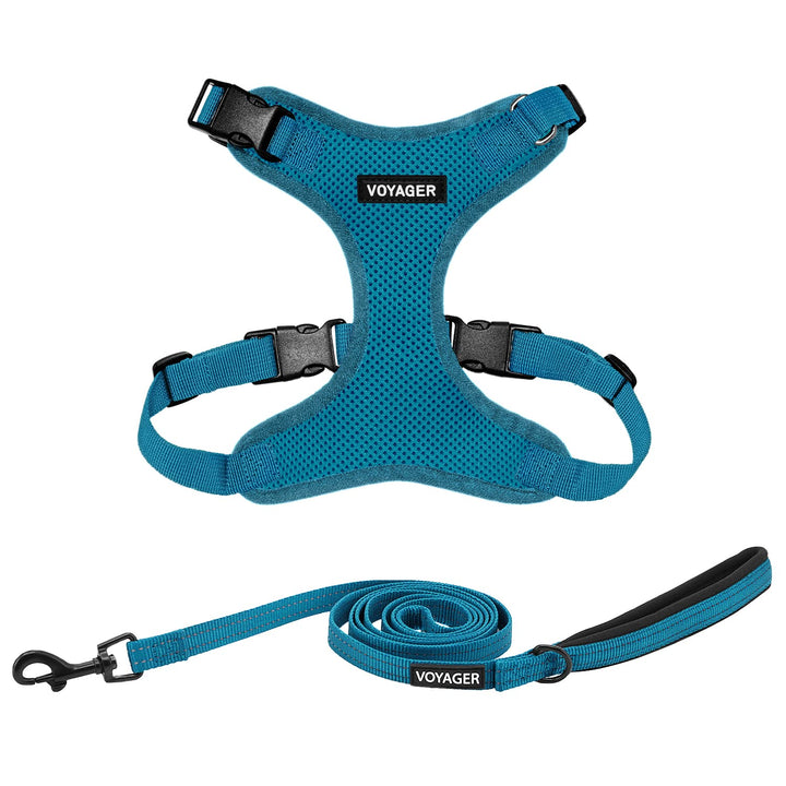 Voyager Step-in Lock Dog Harness w Reflective Dog Leash Combo Set with Neoprene Handle 5ft - Supports Small, Medium and Large Breed Puppies/Cats by Best Pet Supplies - Turquoise, XS Harness Leash Set (Turquoise) XS (Chest: 13 - 16" * Fit Cats)