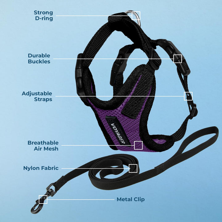 Voyager Step-in Lock Pet Harness - All Weather Mesh, Adjustable Step in Harness for Cats by Best Pet Supplies - Purple/Black Trim, XXS