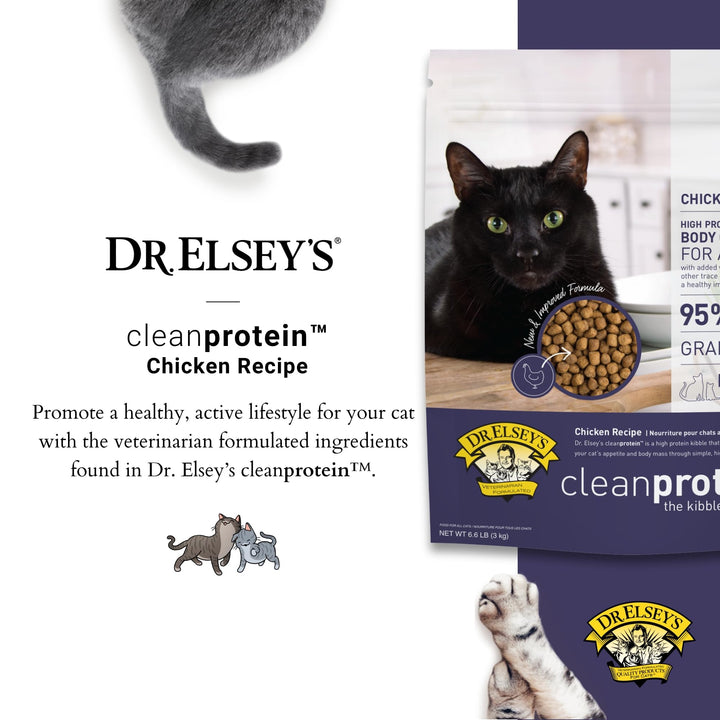 Dr. Elsey's Cleanprotein Salmon Formula Dry Cat Food, 6.6 Lb 6.6 Pound (Pack of 1)