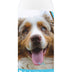 Healthy Breeds Australian Shepherd Bright Whitening Shampoo 12 oz