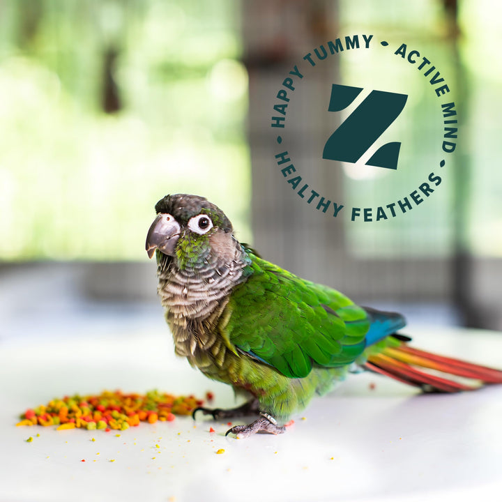 ZuPreem FruitBlend Bird Pellets, Daily Bird Food for Cockatiel, Lovebird, Quaker, Small Conure, Lorikeet, Core Nutrition for Medium Birds, Cockatiel Pellets, Conure Food (M, 2 lb) FruitBlend Pellets 2 Pound (Pack of 1)