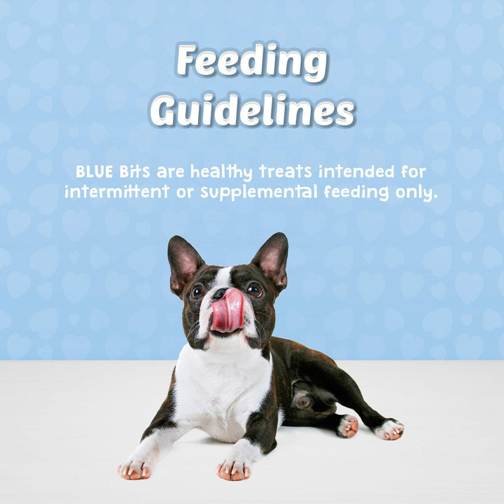 Blue Buffalo Bits Soft Dog Treats for Training, Made with Natural Ingredients & Enhanced with DHA, Savory Salmon Recipe, 4-oz. Bag 4 Ounce (Pack of 1)