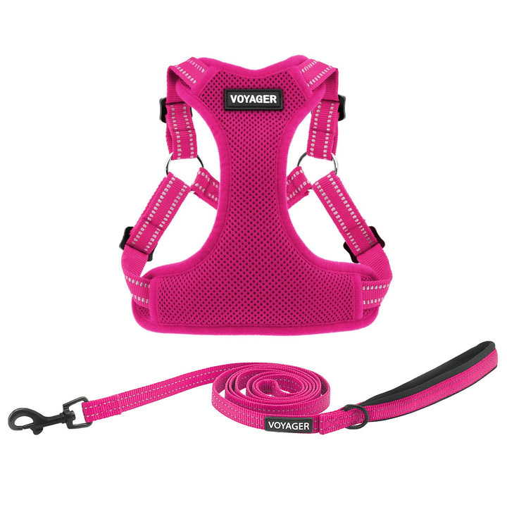 Best Pet Supplies Voyager Adjustable Dog Harness Leash Set with Reflective Stripes for Walking Heavy-Duty Full Body No Pull Vest with Leash D-Ring, Breathable All-Weather - Harness (Fuchsia), S Harness Leash Set (Fuchsia) S (Chest: 15 - 18")