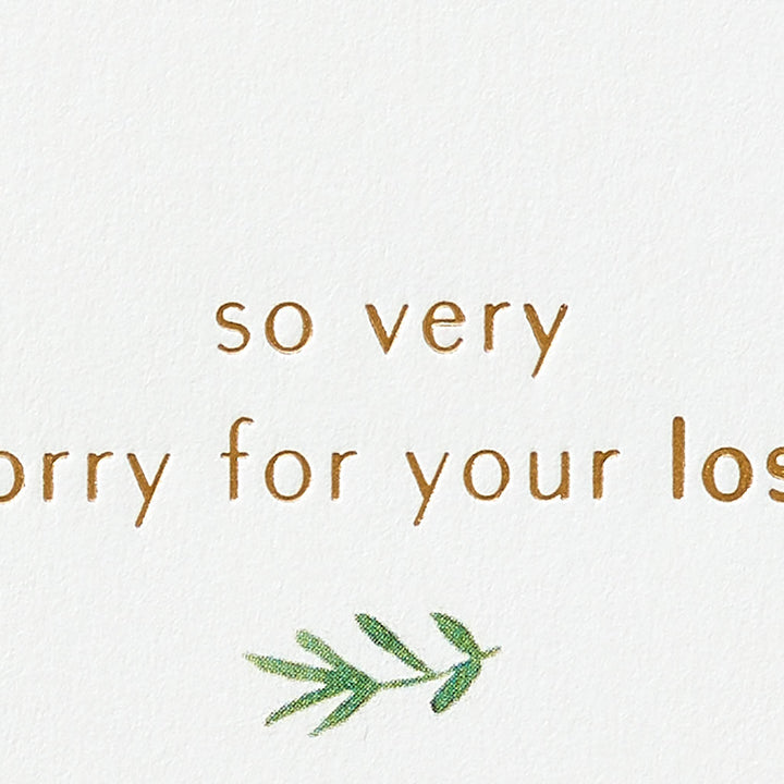 Papyrus Sympathy Card (So Very Sorry) ‎So Very Sorry