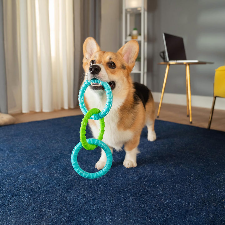 Wham-O Pets Chewla-Hoop Chain Tug - 3 Ring, Tug-of-War Dog Toy