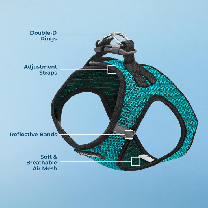 Voyager Step-in Air Dog Harness - All Weather Mesh Step in Vest Harness for Small and Medium Dogs by Best Pet Supplies - Turquoise (2-Tone), XS Harness (Turquoise 2-Tone) XS (Chest: 13 - 14.5")
