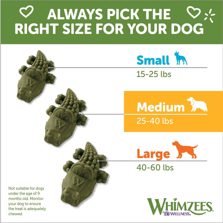 WHIMZEES by Wellness Alligator Natural Dental Chews for Dogs, Long Lasting Treats, Grain-Free, Freshens Breath, Medium Breed, 12 Count