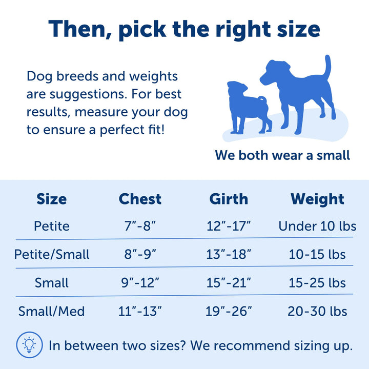 PetSafe Easy Walk No-Pull Dog Harness - The Ultimate Harness to Help Stop Pulling - Take Control & Teach Better Leash Manners - Helps Prevent Pets Pulling on Walks - Small/Medium, Charcoal/Black